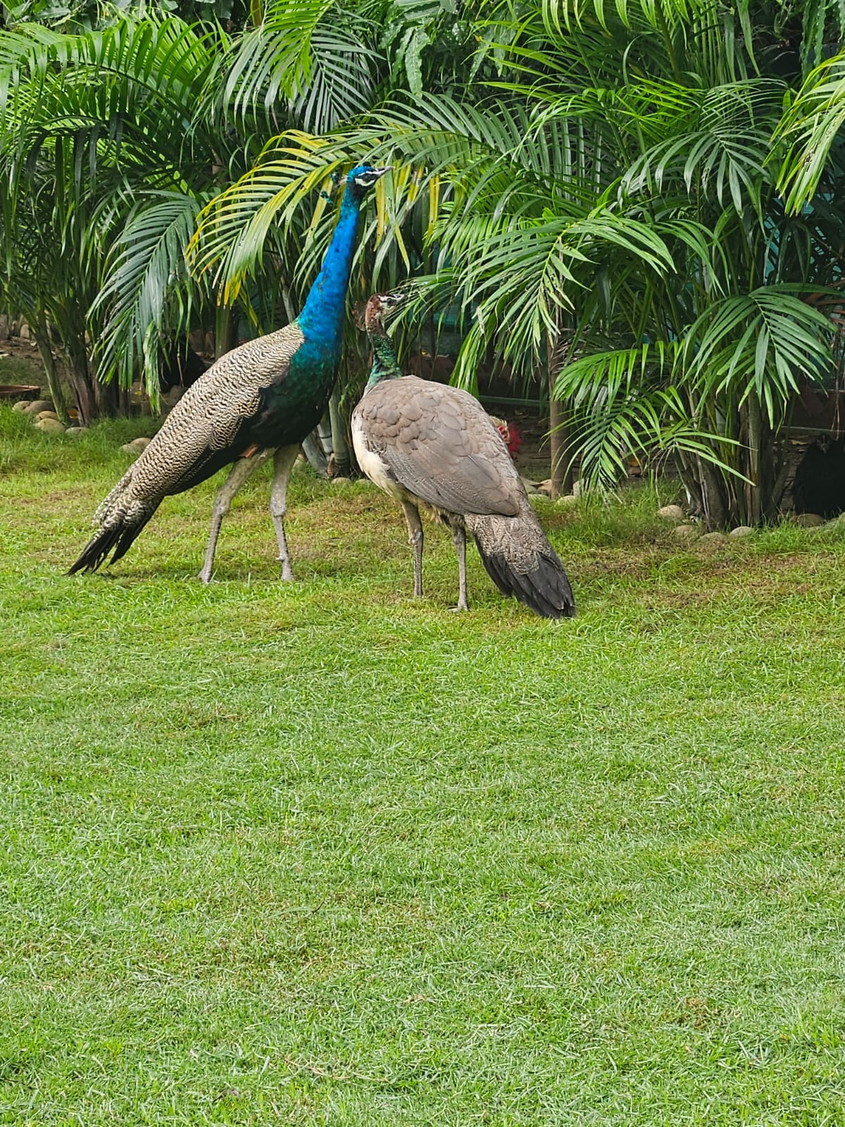 whatsapp image 2025 11 08 at 1.43.19 pm (2)