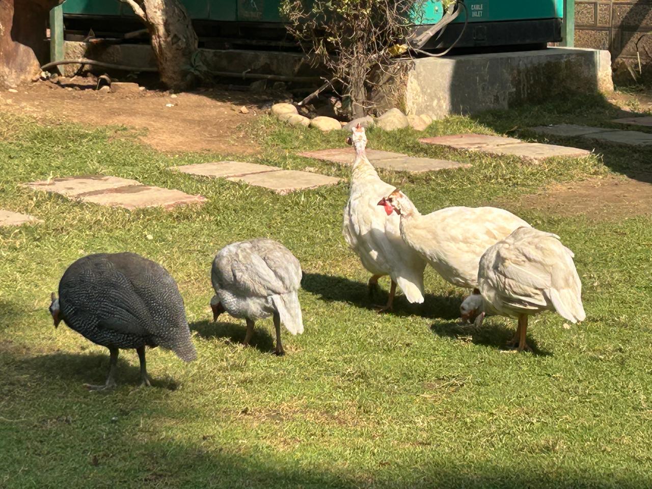 whatsapp image 2025 11 16 at 11.03.55 am