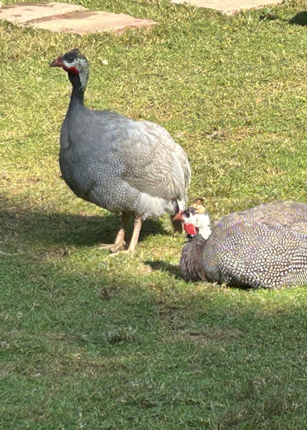 whatsapp image 2025 11 16 at 11.00.05 am (1)